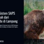 ITB Pasang Sistem SAPS Lindungi Lebah dari Beruang Madu di Lampung