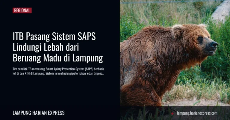 ITB Pasang Sistem SAPS Lindungi Lebah dari Beruang Madu di Lampung
